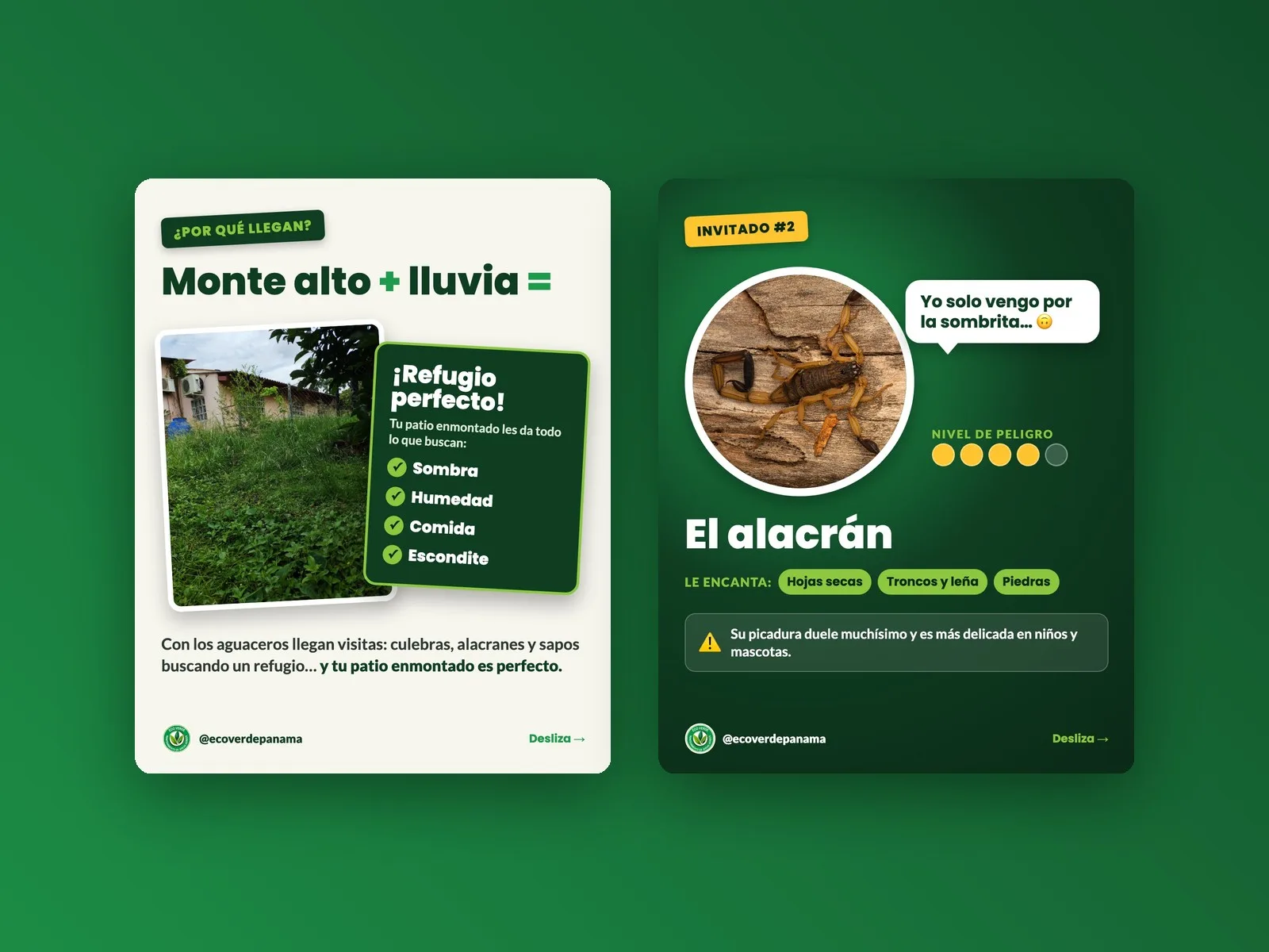 EcoVerde Panamá · carruseles educativos en Instagram