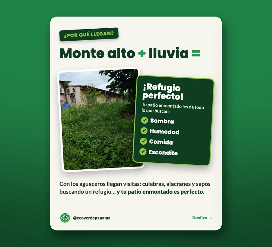 Carrusel de EcoVerde